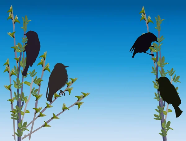 Vårträd grenar och mörka fåglar på blå himmel bakgrund — Stock vektor