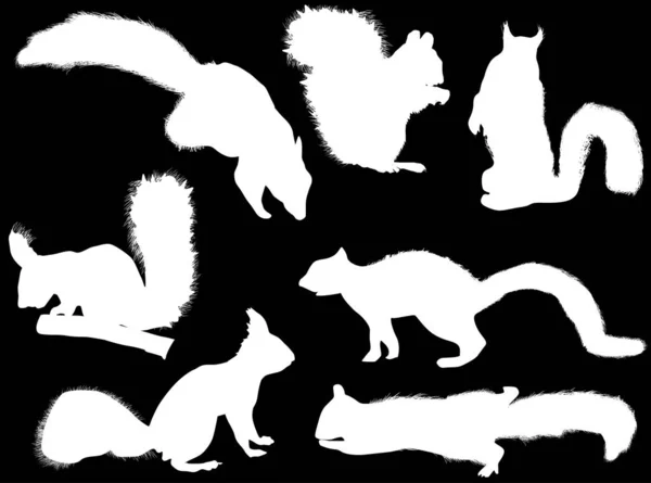 Sette silhouette scoiattoli isolati su nero — Vettoriale Stock