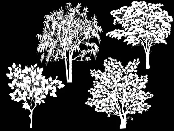 Коллекция четырех белых лиственных деревьев — стоковый вектор