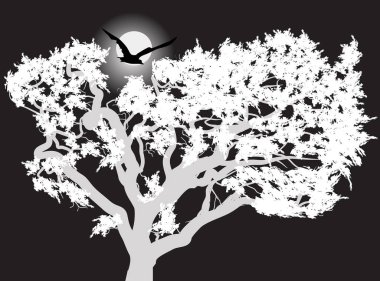 gece illüstrasyon ağacın üzerinde büyük kuş