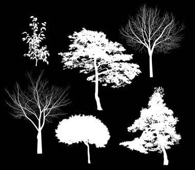 Siyah üzerine izole edilmiş altı beyaz ağaç silueti