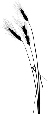 beyaz üzerinde izole üç çavdar siluetleri bir demet