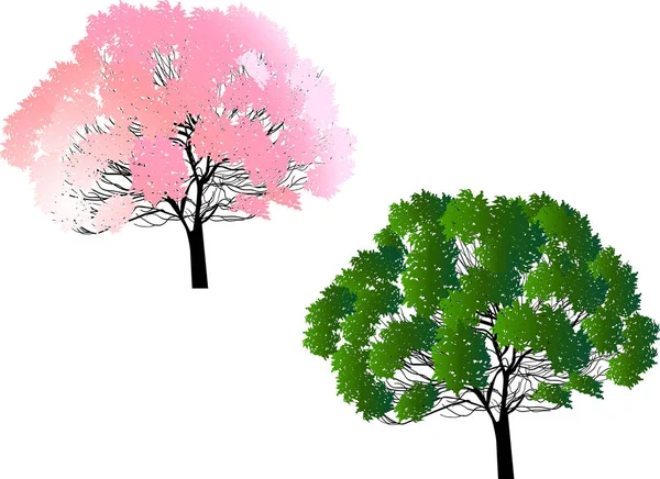 Alberi fogliari rosa e verde isolati su bianco — Vettoriale Stock