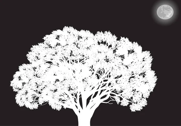 黒い満月の下の大きな木は — ストックベクタ