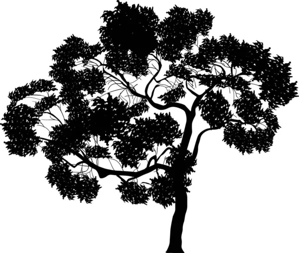 Fekete fa, hosszú ágak — Stock Vector