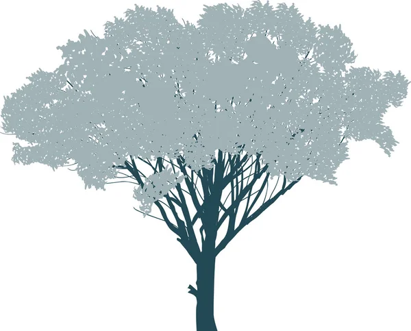 Großer Baum mit grauen Blättern isoliert auf weißem Grund — Stockvektor