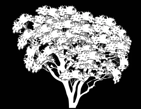 Esboço de árvore branca isolado em preto — Vetor de Stock