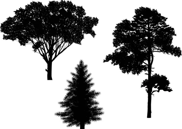 Izole edilmiş üç siyah ağaç silueti — Stok Vektör