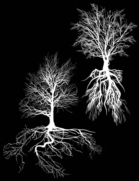 Two white trees with roots on black — ストックベクタ