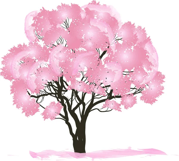 Albero fiorito rosa primavera su bianco — Vettoriale Stock