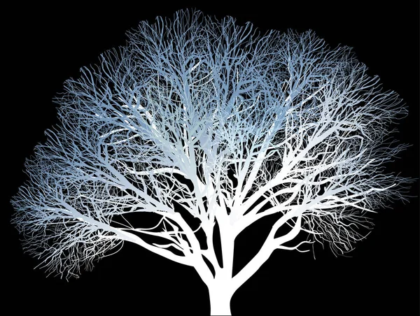 Árvore azul nua com galhos de danse no preto — Vetor de Stock
