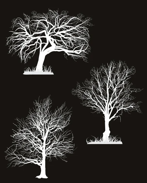 Drie kale bomen silhouetten geïsoleerd op zwart — Stockvector