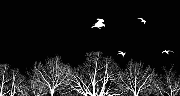 Arbres nus branches et oiseaux isolés sur noir — Image vectorielle