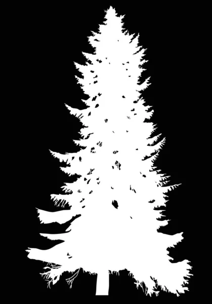 Abete alto albero bianco silhouette illustrazione — Vettoriale Stock