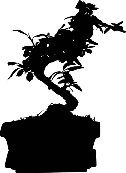 Bonsai tree in pot silhouette isolated on white — Stock Vector