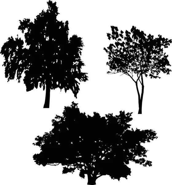 Tre isolati su silhouette di alberi bianchi — Vettoriale Stock
