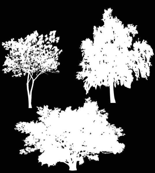 Three isolated on black trees silhouettes — ストックベクタ