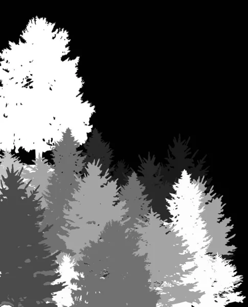 Foresta di abeti bianchi e grigi isolati su nero — Vettoriale Stock