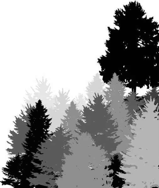 Bosque de abetos negro y gris aislado en blanco — Vector de stock