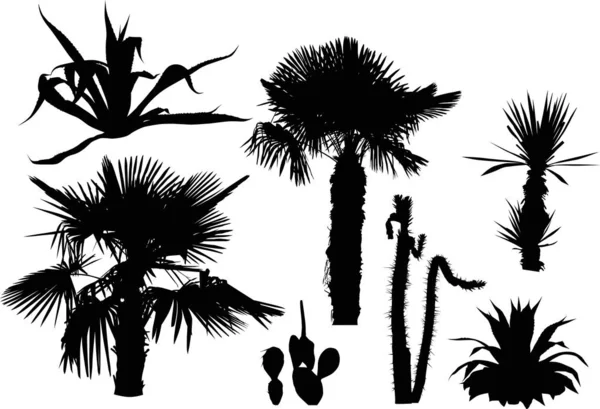 Conjunto de palmeras y siluetas de cactus aisladas en blanco — Vector de stock