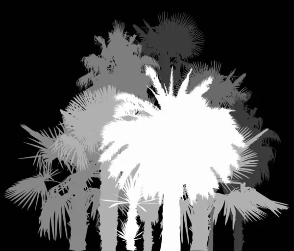 Group of palm trees isolated on black — Stock Vector