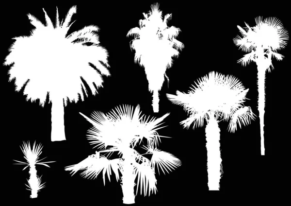Six white palm trees isolated on black — Stock Vector