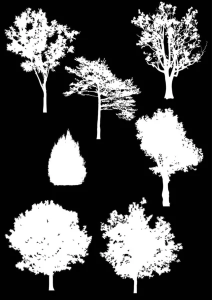 Sette alberi diversi isolati silhouette bianche — Vettoriale Stock