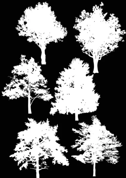 Sex vita isolerade stora träd — Stock vektor