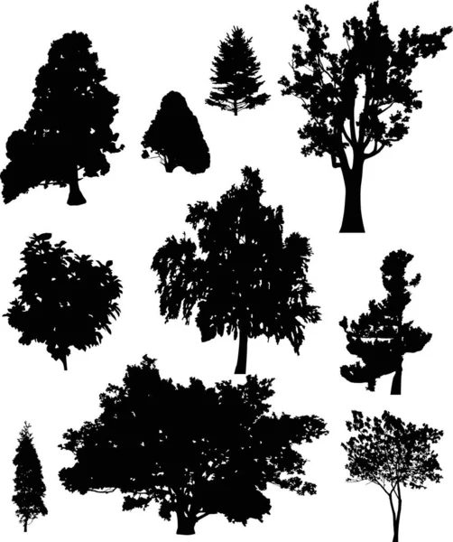 Dieci alberi diversi isolati silhouette nere — Vettoriale Stock