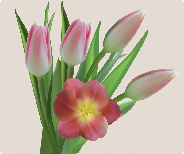 Bunch of pink tulips flowers — ストックベクタ