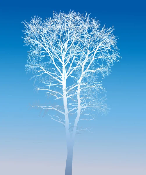 Winter kahler Baum auf blauem Hintergrund — Stockvektor