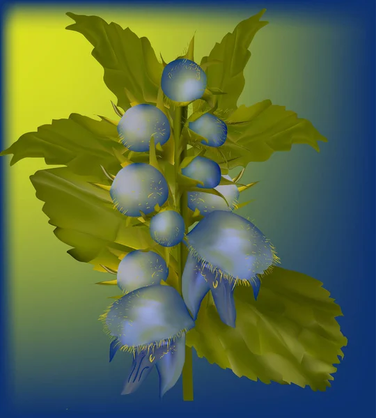 Дикий желтый и синий цветок на светлом фоне — стоковый вектор