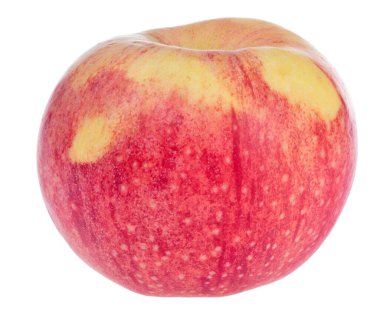 Fuji Elması beyaz arkaplanda izole edildi