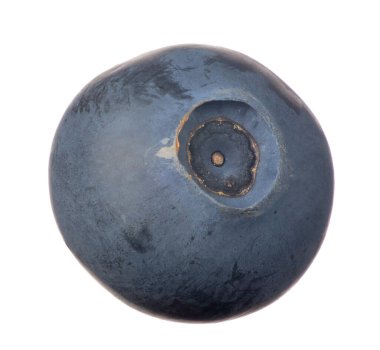 Beyaz Arkaplanda Tek Yaban mersini İzole Edildi