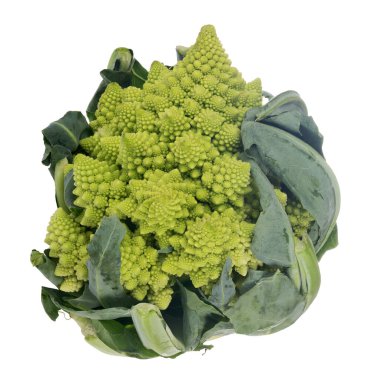 Beyaz arkaplanda yeşil Romanesco brokoli izole edilmiş