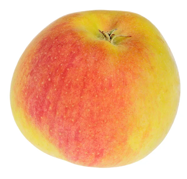 Яблуко Ґала Ізольоване Білому Тлі — стокове фото