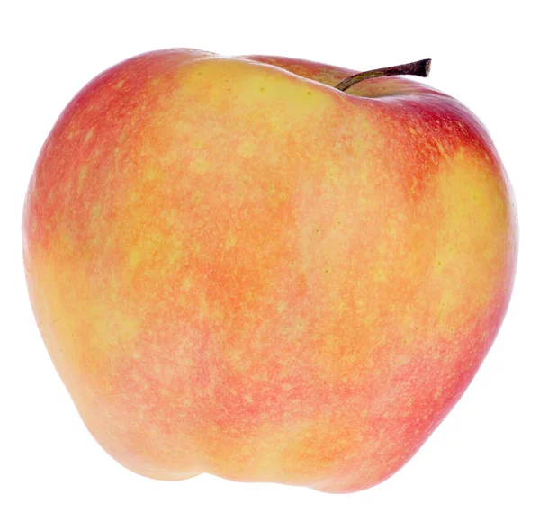 Gloucester Jabłko Izolowane Białym Tle — Zdjęcie stockowe