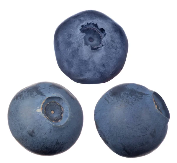 三个蓝莓在白色背景上被分离出来 — 图库照片