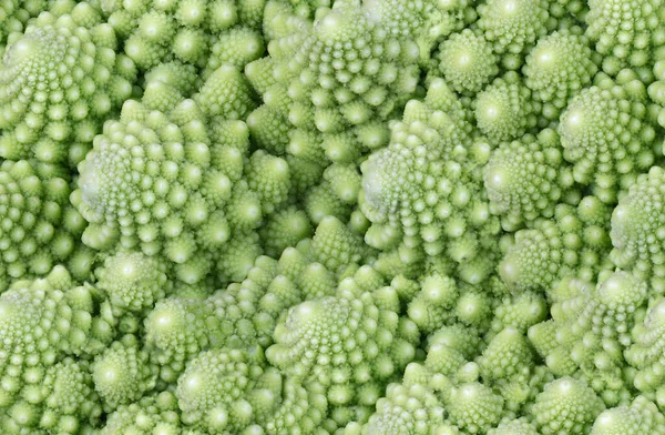 Yeşil Romanesco Brokoli Dokusundan Kusursuz Bir Arkaplan — Stok fotoğraf
