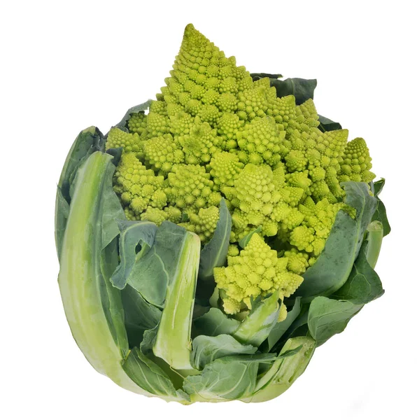 Grüner Romanesco Brokkoli Isoliert Auf Weißem Hintergrund — Stockfoto