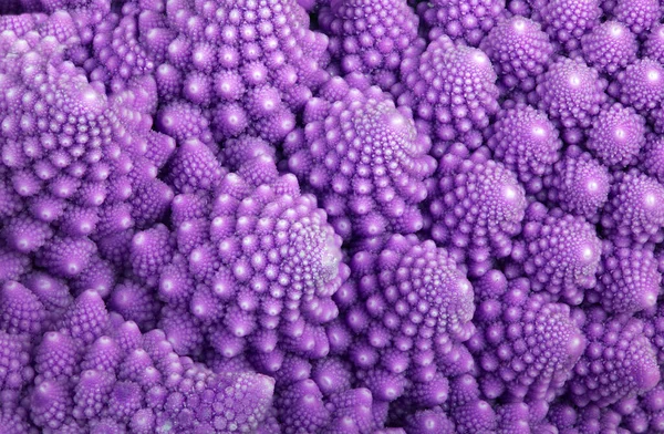 Abstract Lilac Background Romanesco Broccoli Closeup Photo — Stock Photo, Image