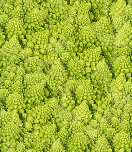 Abstract Naadloze Achtergrond Van Groen Romanesco Broccoli — Stockfoto