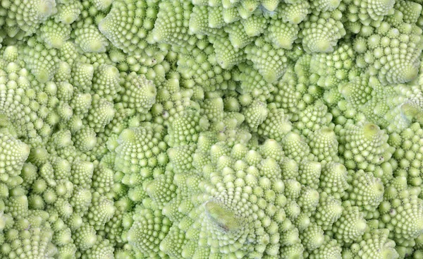 Groen Romanesco Broccoli Close Naadloze Textuur — Stockfoto