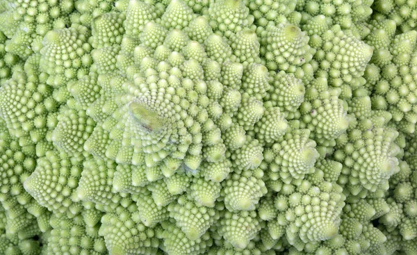 Yeşil Romanesco Brokoli Yakın Plan Fotoğraf — Stok fotoğraf