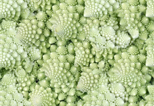 Nahtloser Hintergrund Aus Grünem Romanesco Brokkoli Nahaufnahme Foto — Stockfoto