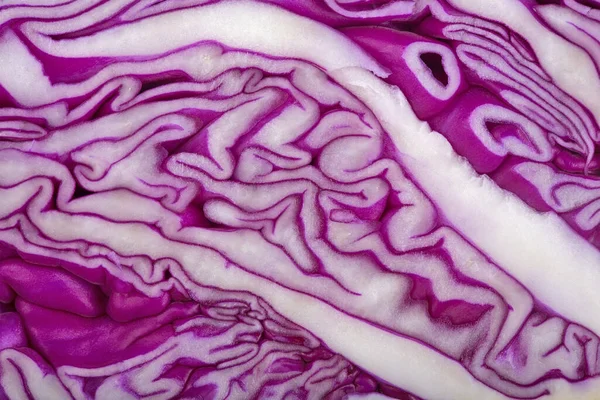 Hintergrund Aus Rotkohl Nahaufnahme — Stockfoto