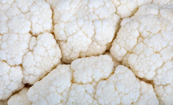 Beyaz karnabahar 'ın arka planı