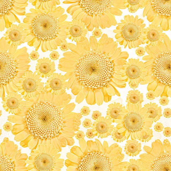 Nahtloser Hintergrund Aus Gelben Blüten — Stockfoto