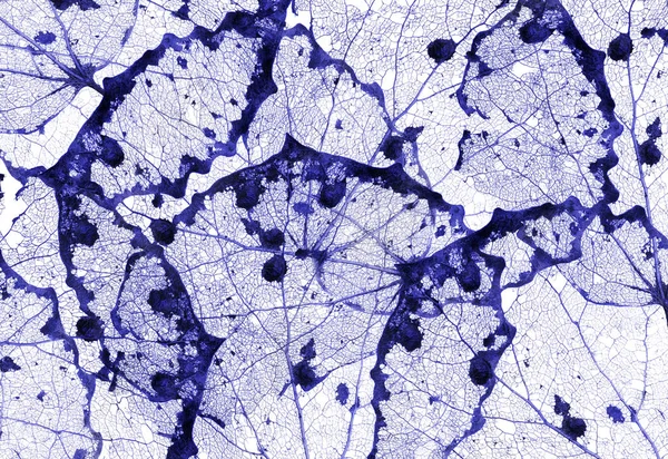 Hintergrund Aus Alten Blauen Toten Blättern — Stockfoto