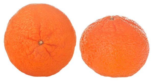 Deux Mandarines Isolées Sur Fond Blanc — Photo